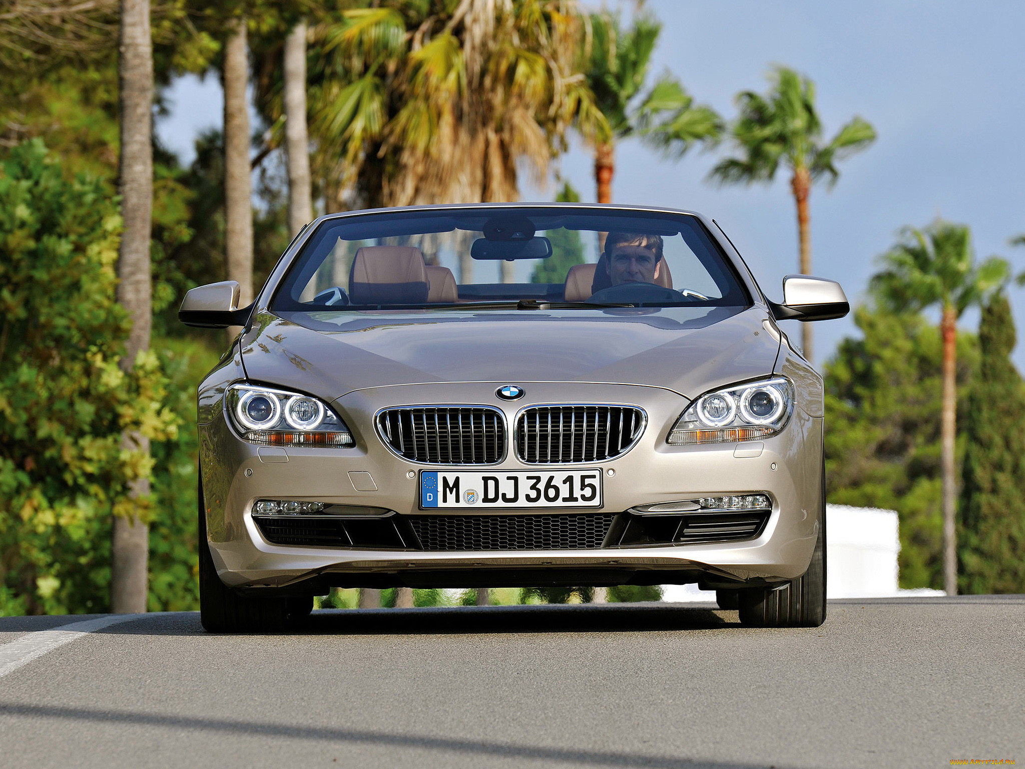 , bmw
